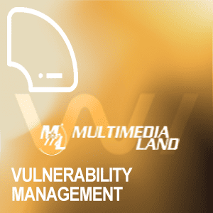Withsecure-Vulnerability-Management